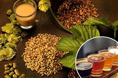 豪魯精釀啤酒設備 豪魯精釀啤酒設備