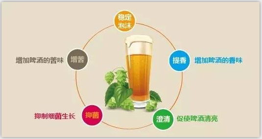 精釀啤酒設備 精釀啤酒設備